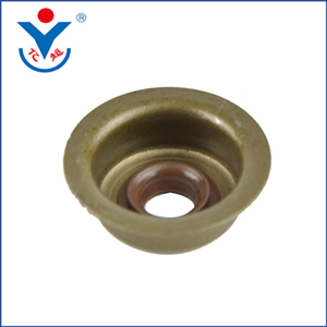 168 outlet valve oil seal